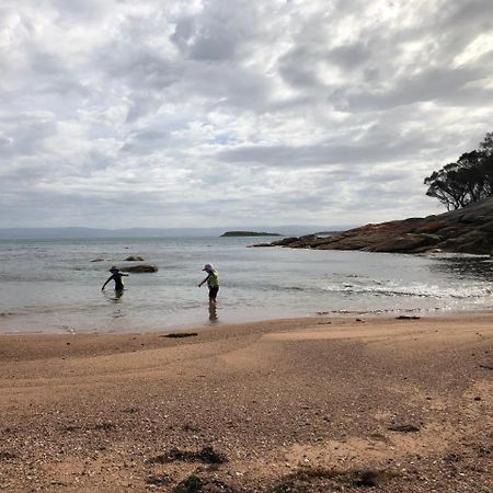 Beachcroft Coles Bay Zewnętrze zdjęcie